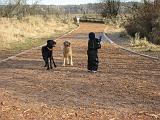 IMG_0888