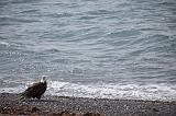 IMG_7370