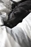 IMG_0971