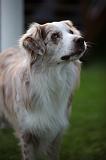IMG_0835